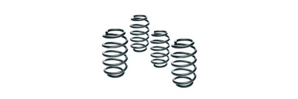lowering springs