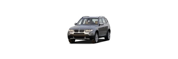X3 (E83)