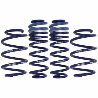 H&R 30 mm Lowering Springs for Seat Ateca Skoda Kodiaq VW Tiguan 4WD 4Motion