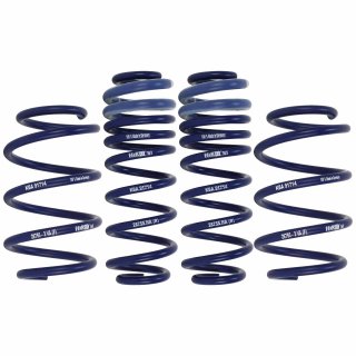 H&R LOWERING SPRINGS FOR THE SKODA ENYAQ RS - H & R