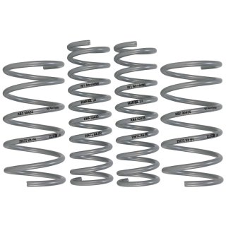 H&R Tieferlegungsfedern 35/10mm BMW e34 525i 530i M30 535i 524td 525tds