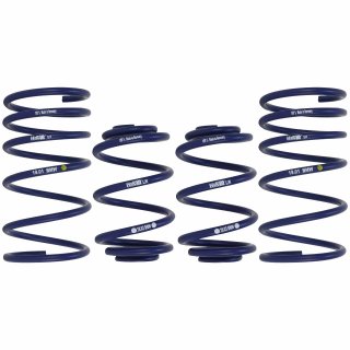 H&R Tieferlegungsfedern 30mm fr BMW e30 Cabrio 4 Zyl.