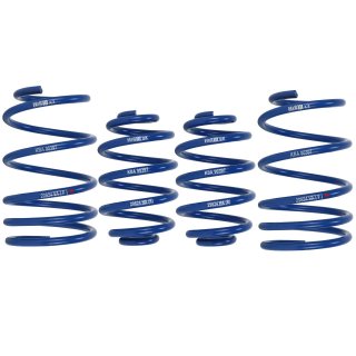 H&R Tieferlegungsfedern 40/15mm fr BMW e36 Limo 6 Zyl.