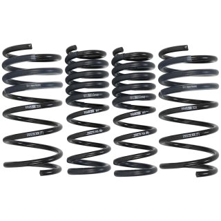 H&R Tieferlegungsfedern 30/10mm fr BMW e34 M5 3,6 & 3,8