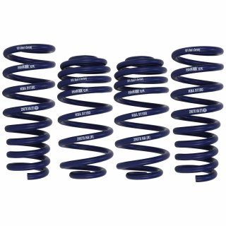 H&R Tieferlegungsfedern 30-40 mm für BMW X5 E70 X6 E71 E72 Achslast  Vorderach, 293,99 €