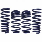 H&R Tieferlegungsfedern 30-40 mm fr BMW X5 E70 X6 E71...