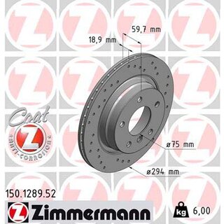 Zimmermann Sport Bremsscheiben HA BMW e46 294x19mm