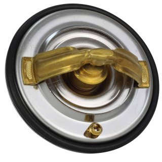 Thermostat 85C for BMW e31 e32 e34 e38 alle V8 and V12