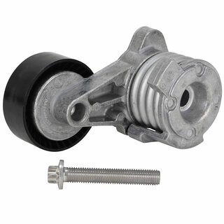 INA Riemenspanner, Keilrippenriemen fr BMW N52 N53