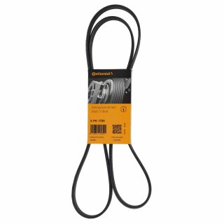 Conti Keilrippenriemen fr BMW E46 4 Zyl. mit  Automatik