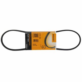 Keilrippenriemen fr BMW E46 E39 E38 & X5 6Zyl. M57 Diesel (Klima)