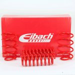 Eibach Sportline Federnsatz 50/35mm BMW e90 318i 320i si...