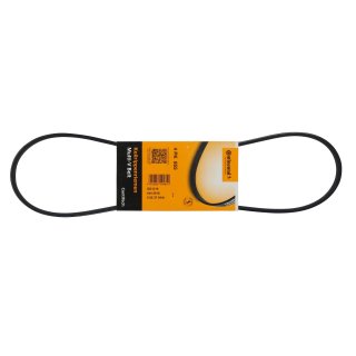 Contitech Keilrippenriemen fr M40 fr BMW E34 E30 E36 M40 Klima