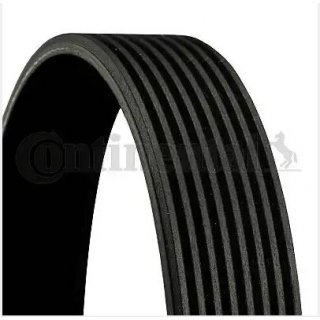 Rippenriemen Continental 8PK1786 fr BMW N52 N52N N53 Motor.
