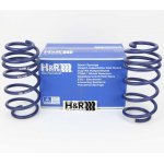 H&R 40mm Tieferlegungsfedern Vorderachse VW Volkswagen...