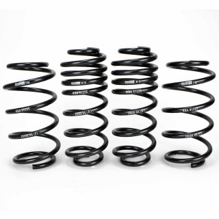 H&R 35mm Tieferlegungsfedern fr VW Golf VI Jetta IV Achslast vorne ab 981 - 1020 kg