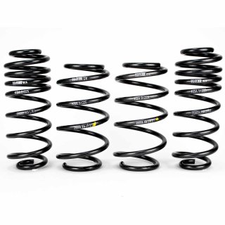 H&R 40mm Tieferlegungsfedern fr VW Golf VI Jetta IV bis Achslast vorne 980 kg