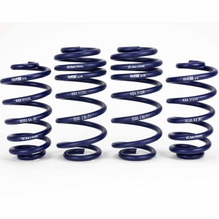 H&R 35mm Springs Tieferlegungsfedern fr Audi A4 B6 B7 Seat Exeo 3R mit ABE