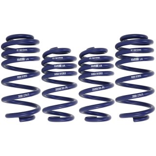 H&R 40 mm Tieferlegungsfedern Lowering Springs fr Audi A6 (4F2, C6) mit ABE