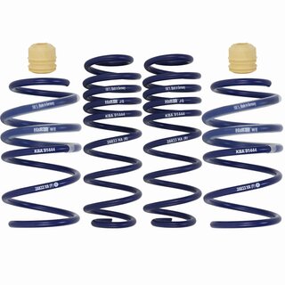 H&R 40 mm Lowering Springs Tieferlegungsfedern fr Skoda Octavia III 5E