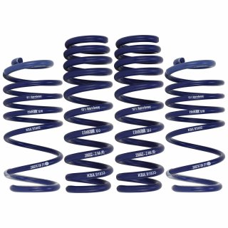 H&R 35/55mm Tieferlegungsfedern fr VW Polo 6R 2009- ab Achslast 930kg