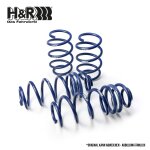 H&R 25/40mm Lowering Springs Set for Seat Ibiza IV...