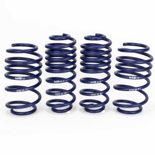H&R 45-50 mm Lowering Springs for VW Golf V Jetta III Audi A3 8P Seat Toledo III Skoda Octavia II