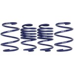 H&R 20/30mm Tieferlegungsfedern für Renault Clio...