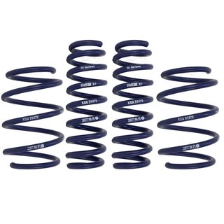 H&R lowering springs for BMW F31 45mm F33 F83 30/20mm front axle load from 921kg