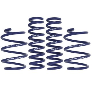 H&R Tieferlegungsfedern fr BMW F20 F21 118d 120d xDrive F22 M235i M240i F23