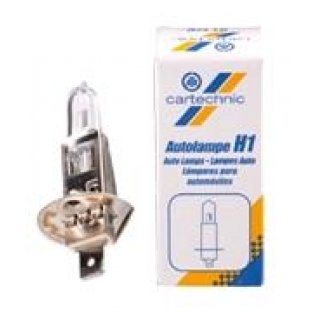 H1 Standardlampe in Werkstattqualitt