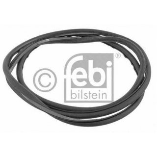 Trdichtung vorne links, 4 Trer BMW E46