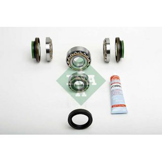 INA Differential Reparatursatz / Diffi Repsatz BMW E81 E87 E90 X1
