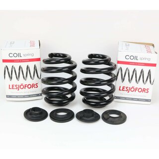 2 x Lesjfors verstrkte Federn Hinterachse bis 1720 Kg Achslast fr Volkswagen VW T5 T6