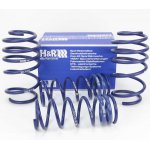 H&R 20-25mm Lowering Springs for Ford Focus III ST...
