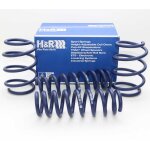 H&R lowering springs 45/30mm for BMW F31 xDrive +...