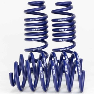 H&R 45/35 mm Lowering Springs for Mercedes Benz W205 C205 S205