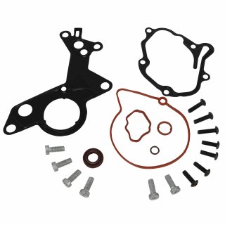 1x Reparatursatz Unterdruckpumpe Tandempumpe Bremsanlage fr Audi Seat Skoda VW 1.9 / 2.0 TDI