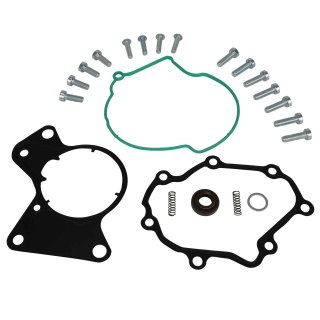 Dichtungssatz Vakuumpumpe Tandempumpe Kraftstoffpumpe VW T5 Touareg 2.5 Diesel